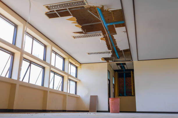Best Flood restoration services  in Buford, GA