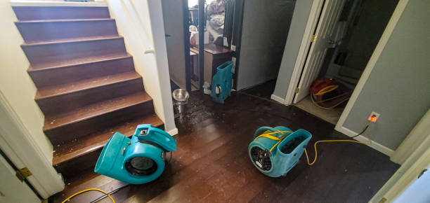 Best 24/7 water damage repair  in Buford, GA