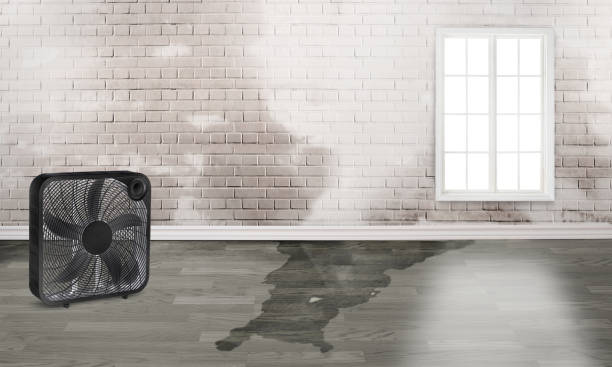 Best Commercial water damage restoration  in Buford, GA