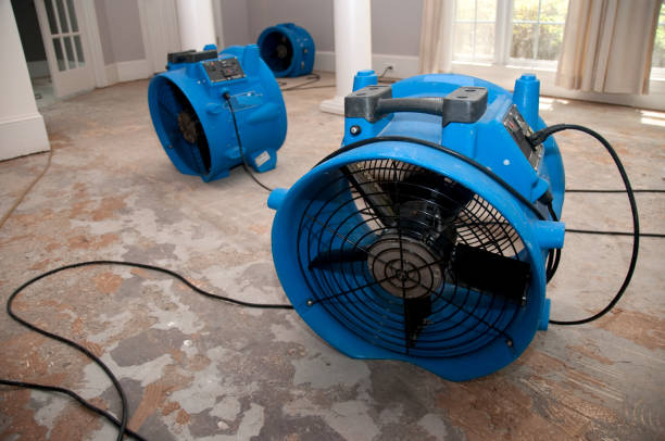 Best Water damage cleanup near me  in Buford, GA