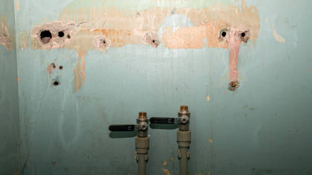 Best Sewage cleanup and water damage restoration  in Buford, GA