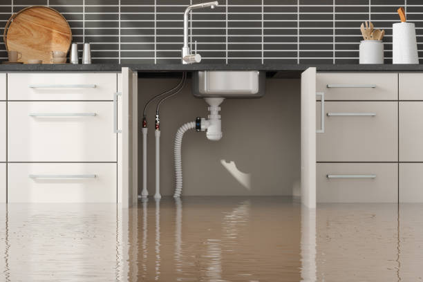 Best Flood restoration services  in Buford, GA