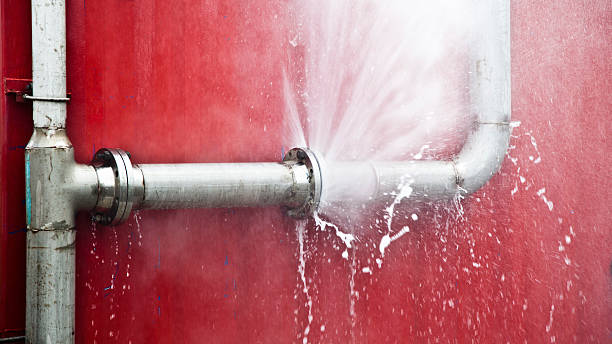 Best Professional water damage repair  in Buford, GA
