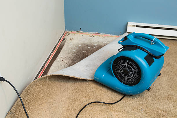 Best Emergency water damage restoration  in Buford, GA